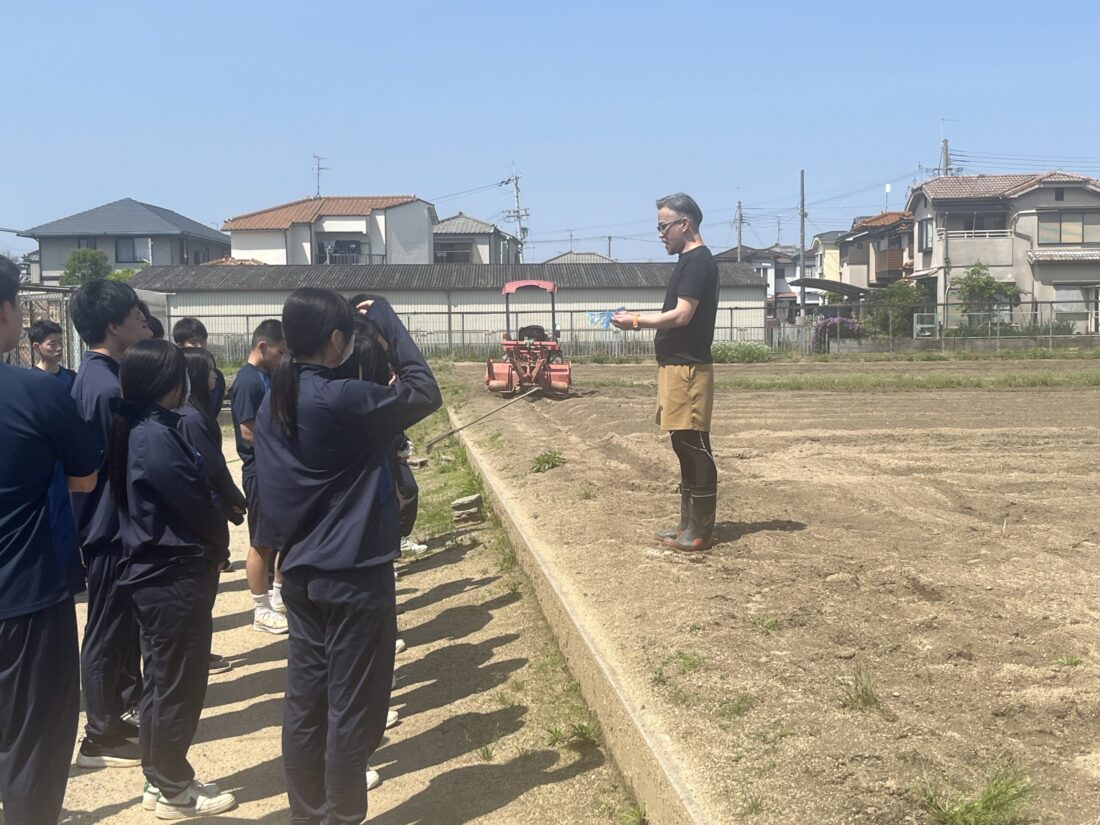 【２年生】サツマイモの植え付けに挑戦しました。
